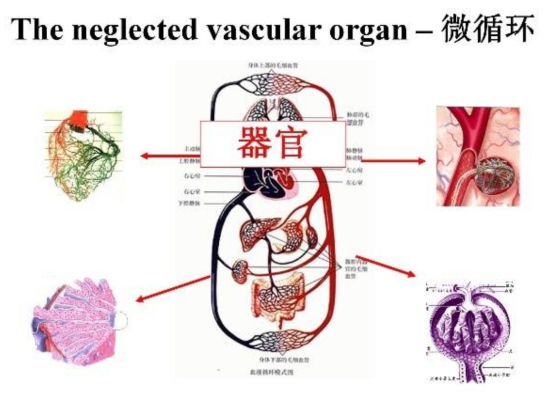 image005_看图王.jpg