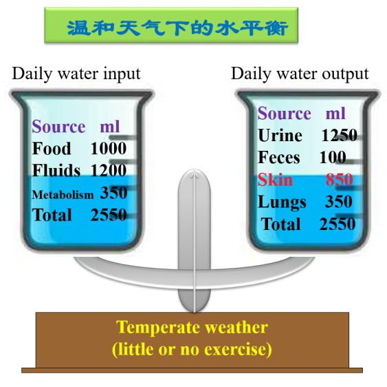 image016_看图王_看图王.jpg